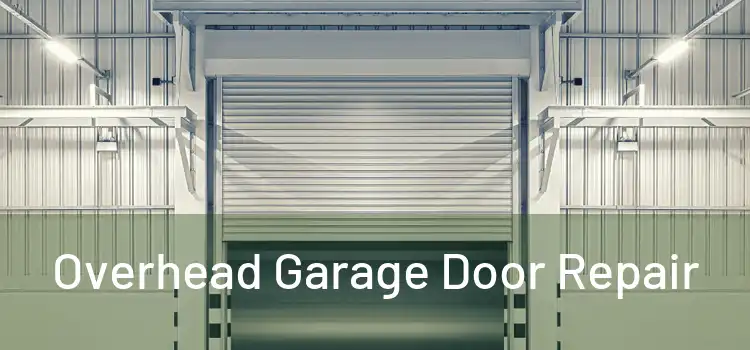  Overhead Garage Door Repair 
